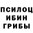 Псилоцибиновые грибы Magic Shrooms Maksat Tuvakov