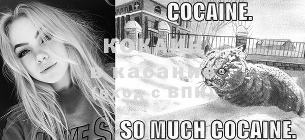 крисы Балахна